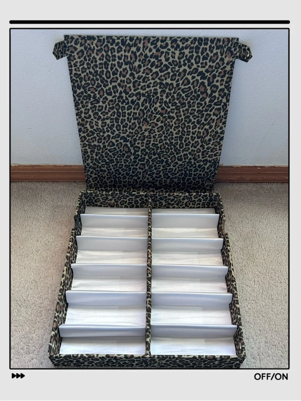 Babett 12-Compartment Eyeglass Storage Display Case Box Leopard Print OS